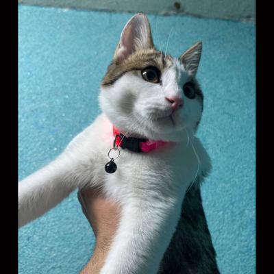 ⭐ واگذاری پسرک پرانرژیِ آماده‌ی عشق!