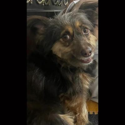 ⭐ واگذاری تریر مظلوم، دنبال امنیت و عشق